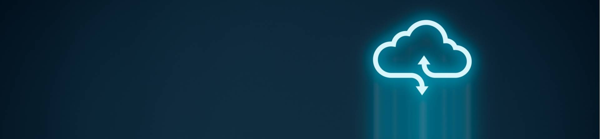 Software hardware proces sofwarecontract licentieovereenkomst gebruikslicentie expertise bug claim schadevergoeding onderhoudscontract saas gdpr